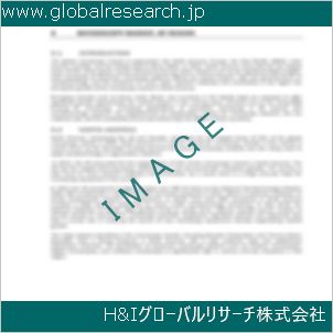 グローバルリサーチ調査資料のイメージ